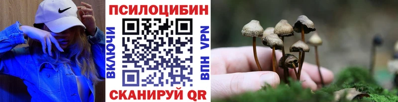 KRAKEN зеркало  Ликино-Дулёво  Псилоцибиновые грибы Psilocybine cubensis 